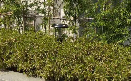 戶外滅蚊燈什么牌子好？尚科滅蚊燈