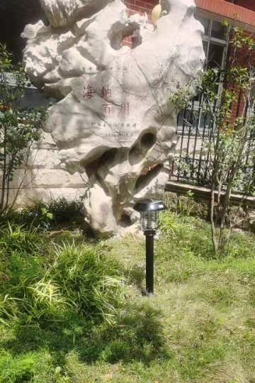 天一中學(xué)草坪滅蚊燈，學(xué)校太陽能滅蚊燈